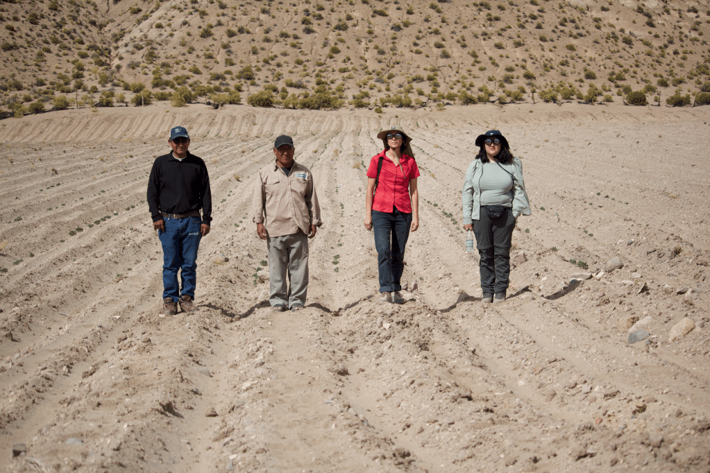 Equipo de Futuros Biodiversos viajó hasta el altiplano de Tarapacá para rastrear compensaciones en biodiversidad 